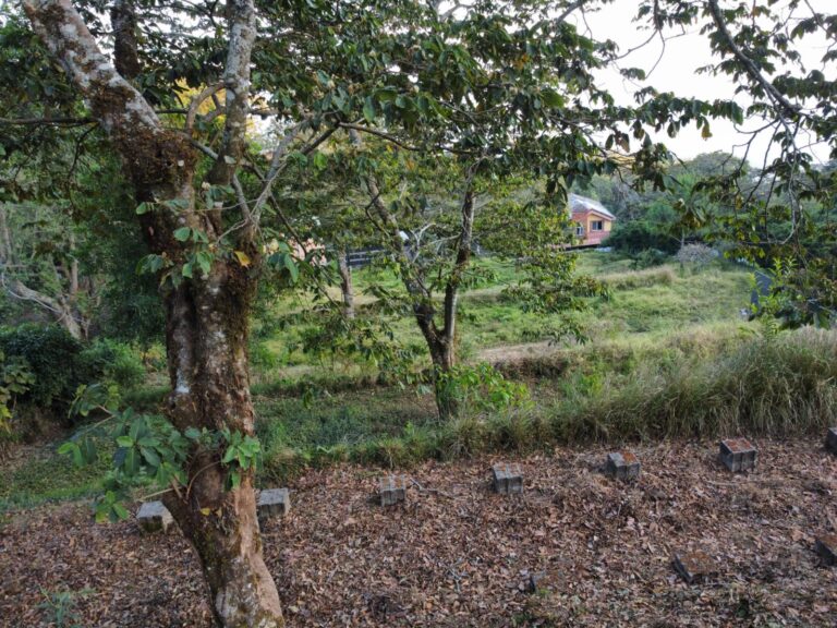 Terreno Volcan de SS 2 1 768x576