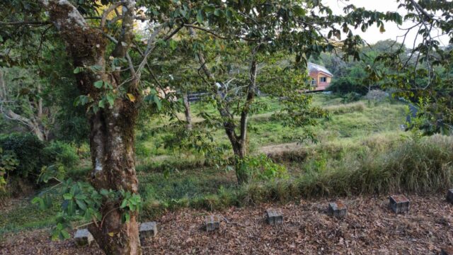 Terreno Volcán de SS (2)