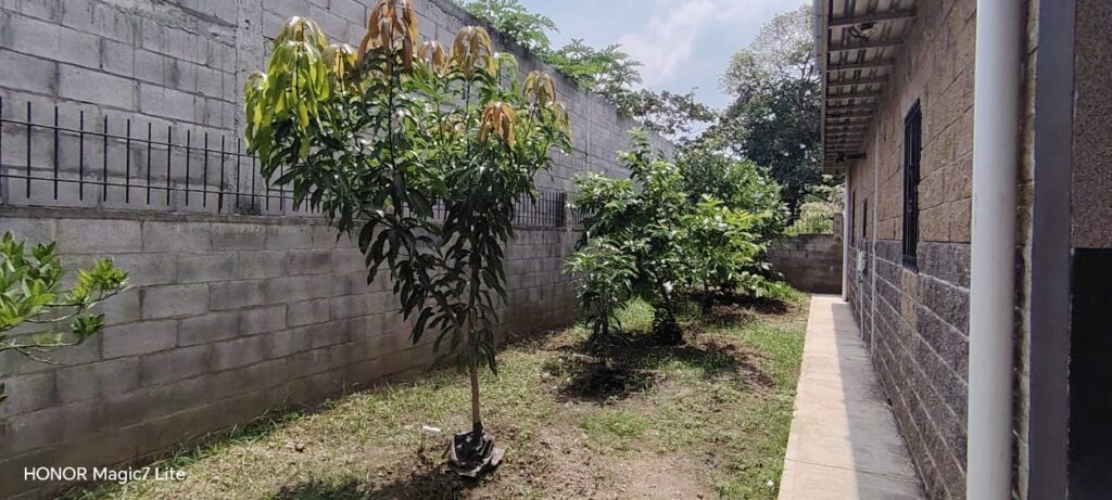 Casa-en-Usulutan-14
