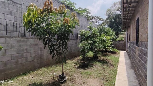 Casa-en-Usulutan-14