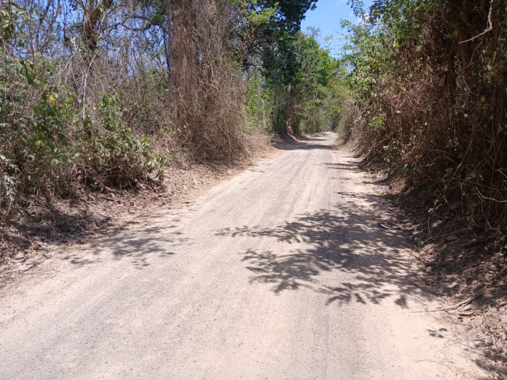 Finca-Nicaragua-1