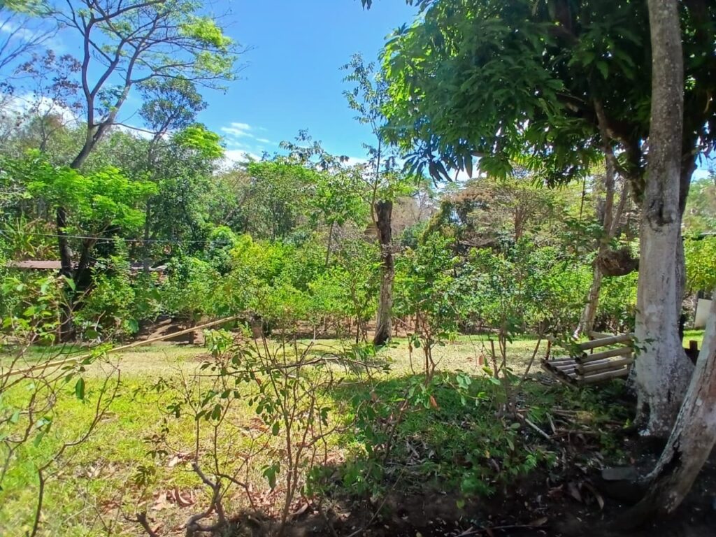 Finca-Nicaragua-14