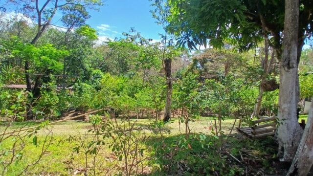 Finca-Nicaragua-14