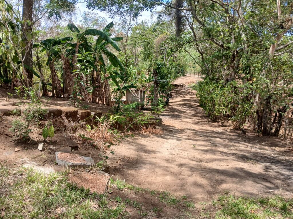 Finca-Nicaragua-15