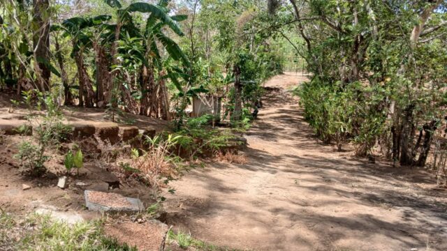 Finca-Nicaragua-15