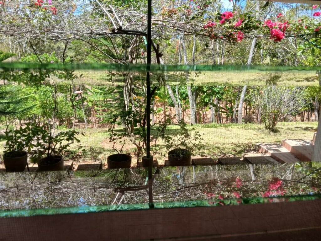 Finca-Nicaragua-17