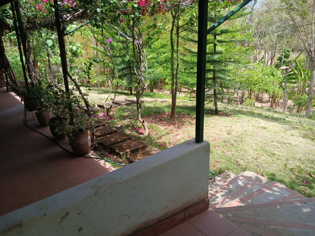 Finca-Nicaragua-2