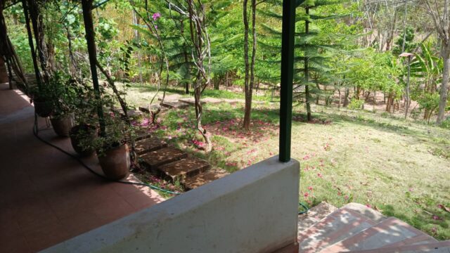 Finca-Nicaragua-2