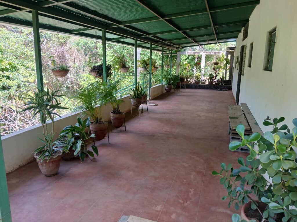Finca-Nicaragua-7