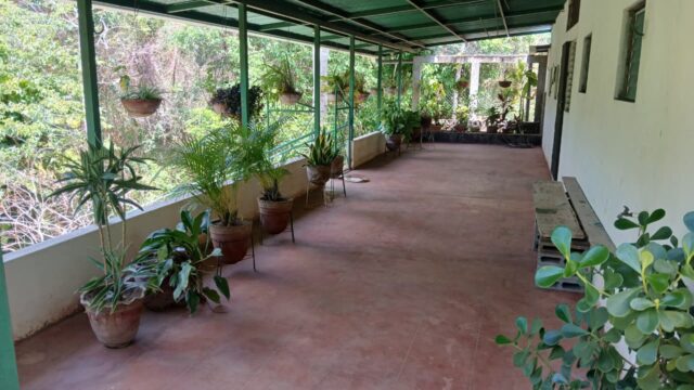 Finca-Nicaragua-7