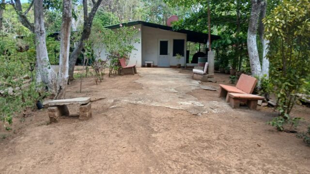 Finca-Nicaragua-8