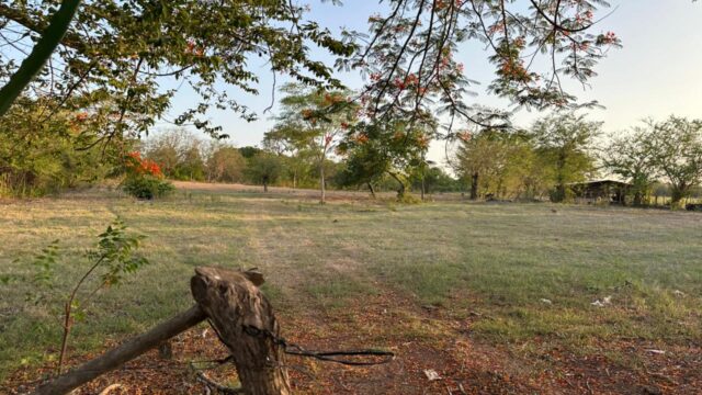 San-marcos-lempa-1