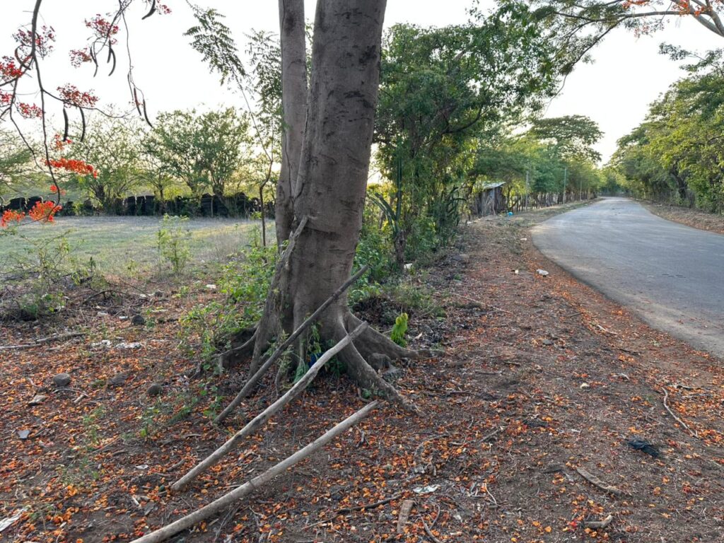 San-marcos-lempa-2