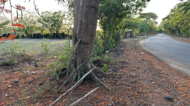 San-marcos-lempa-2