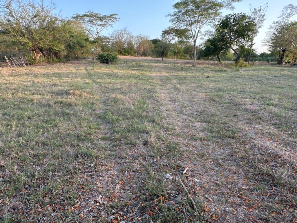 San-marcos-lempa-3