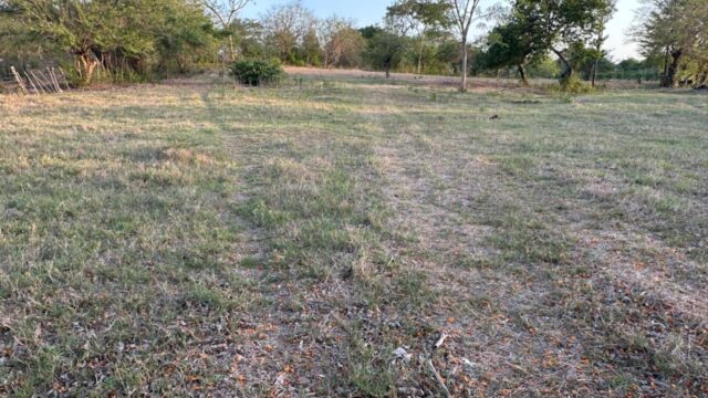 San-marcos-lempa-3