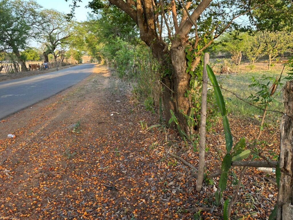San-marcos-lempa-4