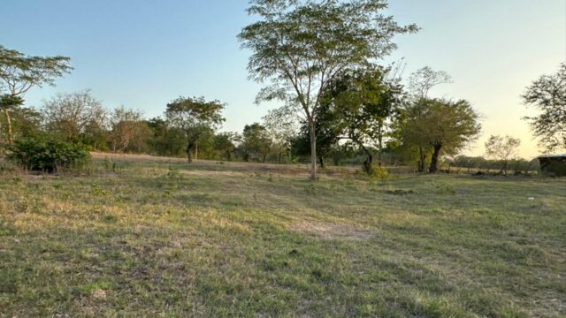 San-marcos-lempa-5