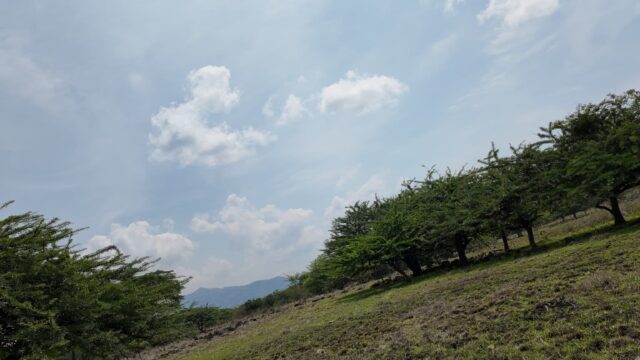 Terreno-San-Vicente-1