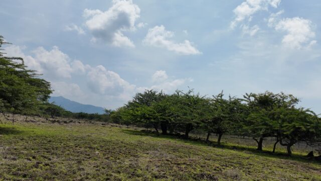 Terreno-San-Vicente-10