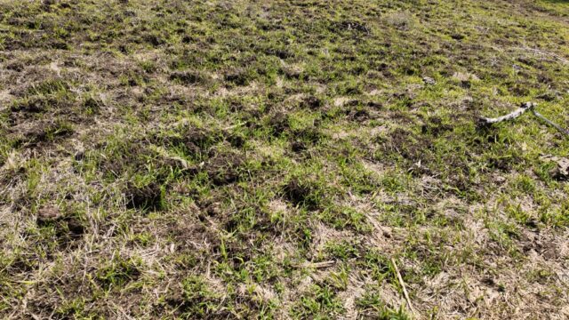 Terreno-San-Vicente-11