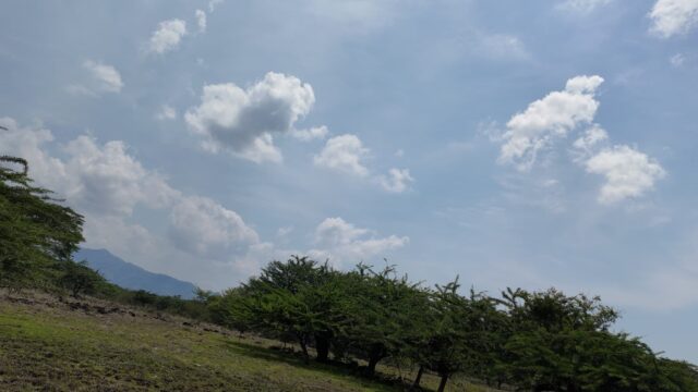 Terreno-San-Vicente-15