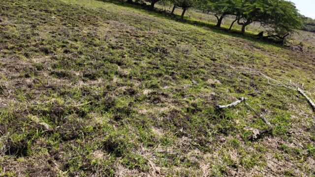 Terreno-San-Vicente-16
