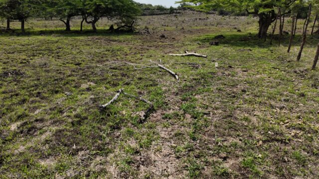 Terreno-San-Vicente-17