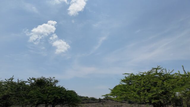 Terreno-San-Vicente-18