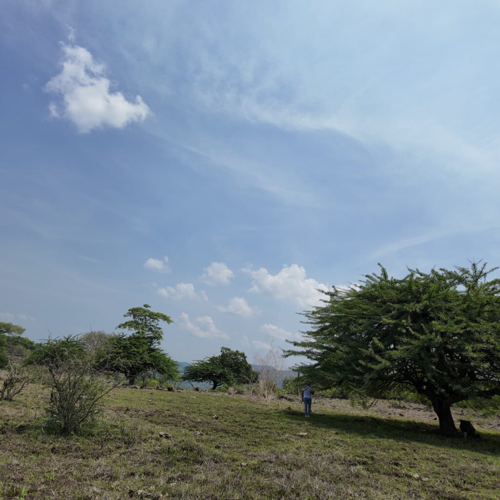 Terreno-San-Vicente-3