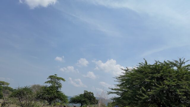 Terreno-San-Vicente-3