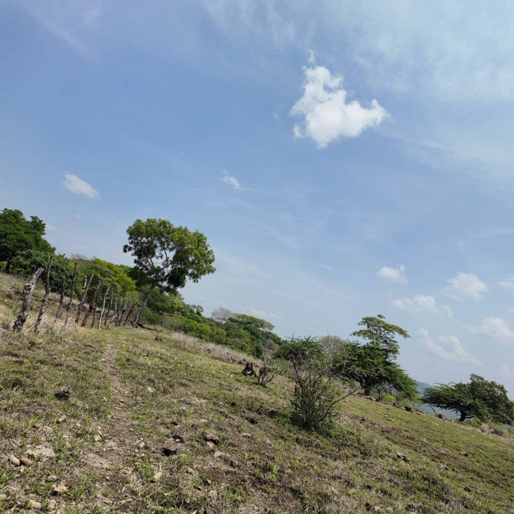 Terreno-San-Vicente-4