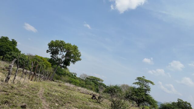 Terreno-San-Vicente-4