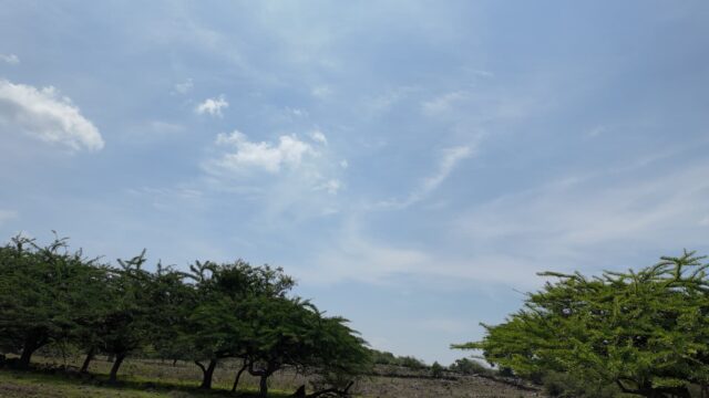 Terreno-San-Vicente-6