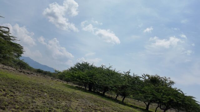 Terreno-San-Vicente-7